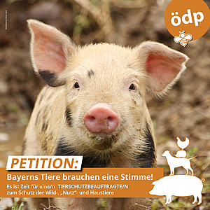 Tierschutzbeauftragter für Bayern: Die Tierschutz-Petition der ÖDP läuft bis zum 30. August 2023.