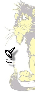 reissnagelloewe