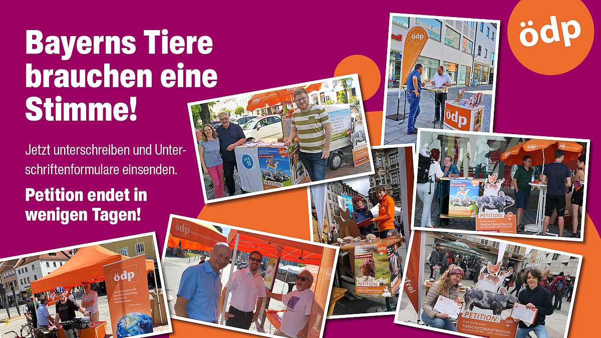 Die Petition "Bayerns Tiere brauchen eine Stimme!" endet in Kürze. Die Petition "Bayerns Tiere brauchen eine Stimme!" endet in Kürze.