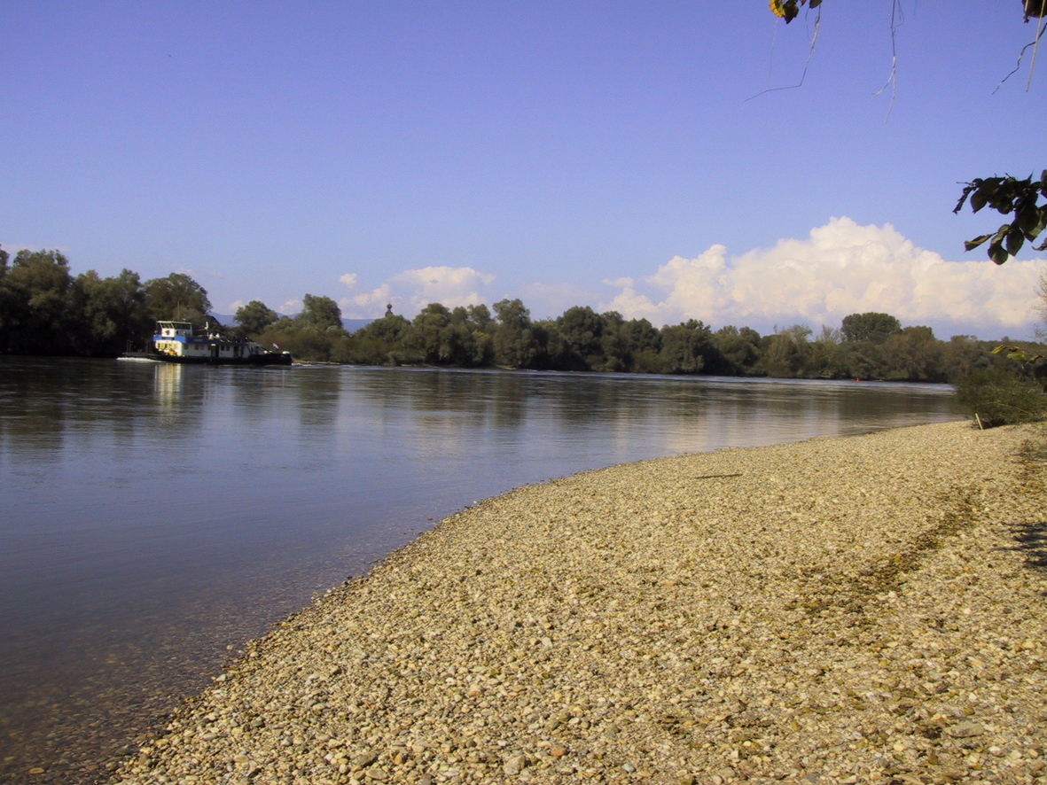 Donau-Muehlhamer Schleife 1229